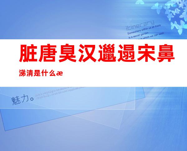 脏唐臭汉邋遢宋鼻涕清是什么意思_脏唐臭汉邋遢宋是什么意思