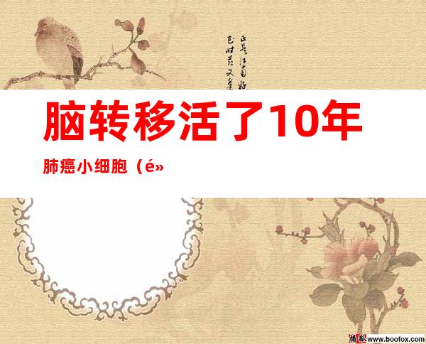 脑转移活了10年肺癌小细胞（黑色素瘤脑转移活了10年）