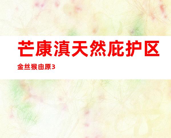 芒康滇天然庇护区金丝猴由原300余只增长到800余只