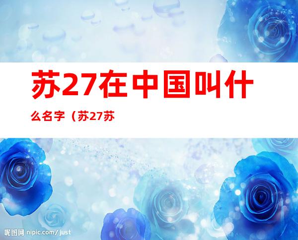 苏27在中国叫什么名字（苏27苏30苏33苏35区别）