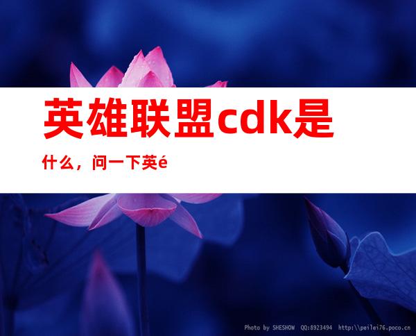 英雄联盟 cdk是什么，问一下英雄联盟中的cdkey是什么啊