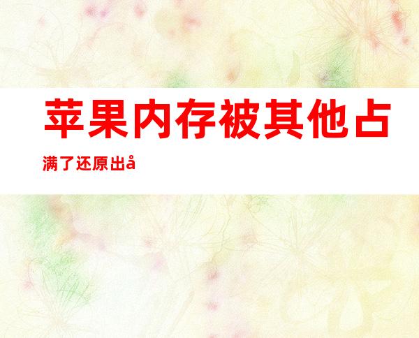 苹果内存被其他占满了还原出厂设置都不行（苹果内存被其他占满了用手机怎么清理）