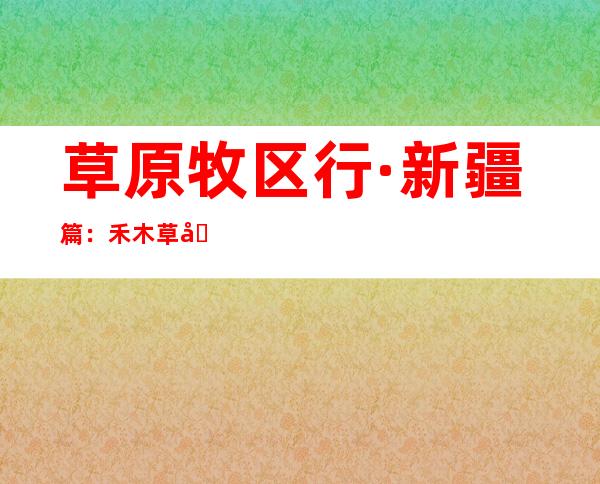 草原牧区行·新疆篇：禾木草原——夜宿毡房唠家常