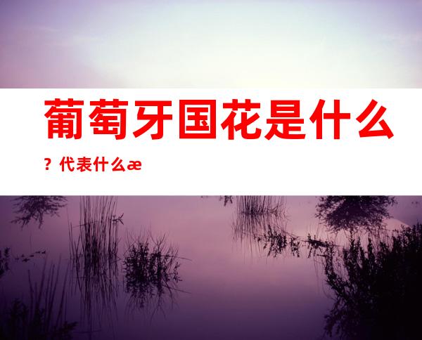 葡萄牙国花是什么？代表什么意思？移民葡萄牙的优势有哪些？