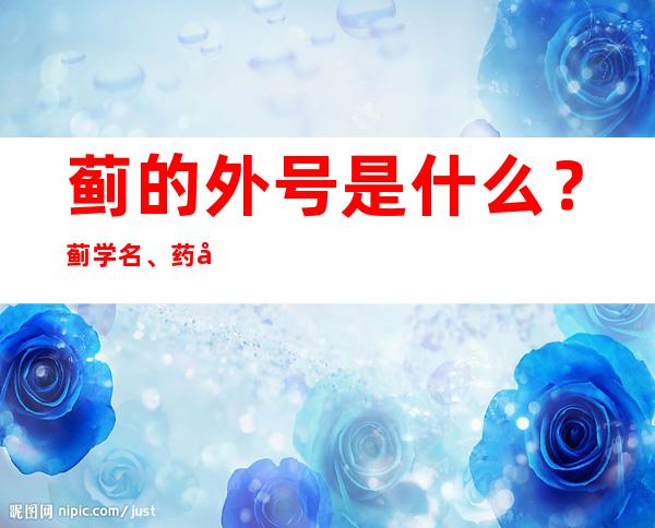 蓟的外号是什么？蓟学名、药名又是什么？