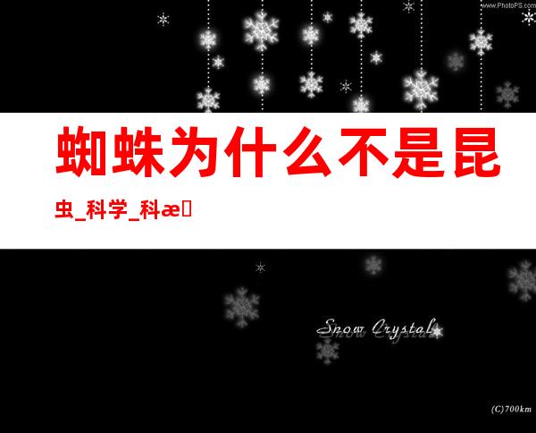 蜘蛛为什么不是昆虫?_科学_科普_动物科学（蜘蛛为什么不是昆虫 百度网盘）