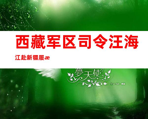 西藏军区司令汪海江赴新疆履新 上过战场荣立一等功