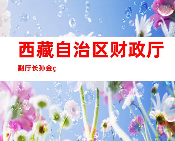 西藏自治区财政厅副厅长孙金玲-西藏自治区财政厅历任厅长