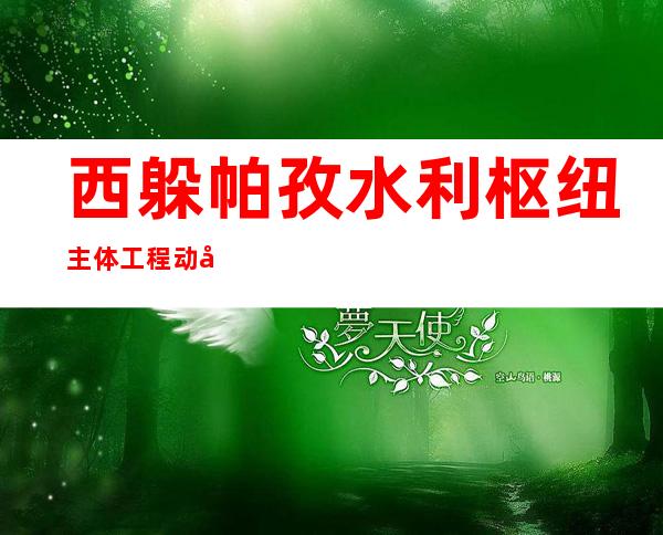 西躲帕孜水利枢纽主体工程动工建设 主用于浇灌发电