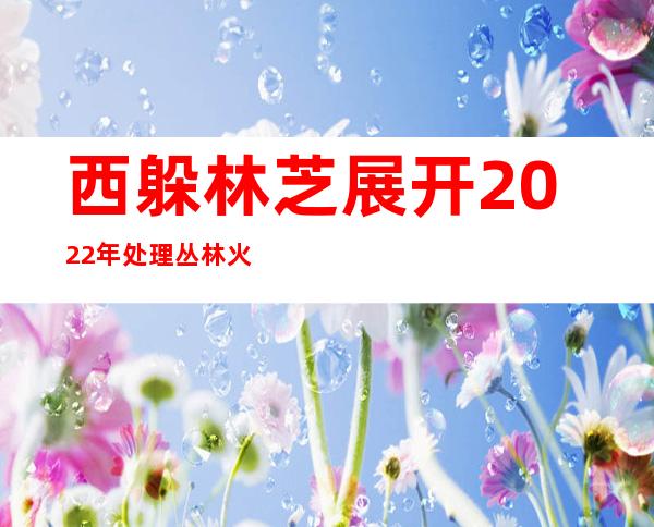 西躲林芝展开2022年处理丛林火警应急练习训练