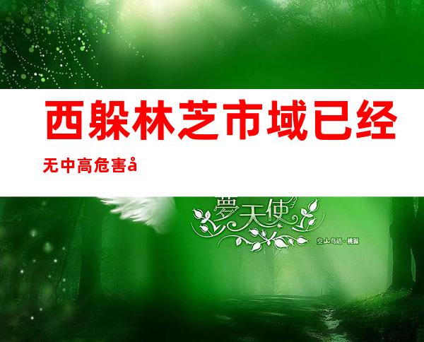 西躲林芝市域已经无中高危害区 112个重点项目复工复产