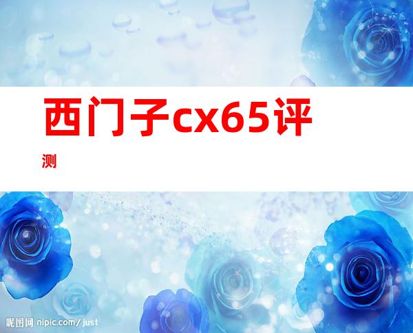 西门子cx65评测