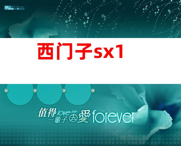 西门子sx1