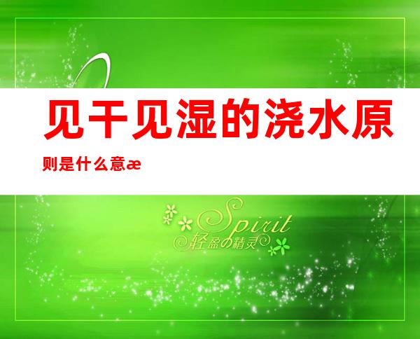 见干见湿的浇水原则是什么意思啊（养花浇水见干见湿是什么意思）