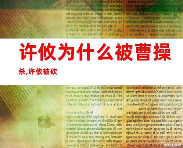 许攸为什么被曹操杀,许攸被砍是哪一集