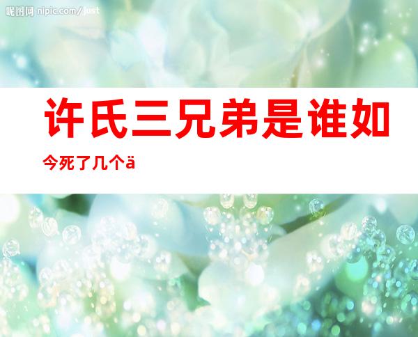 许氏三兄弟是谁 如今死了几个了呢