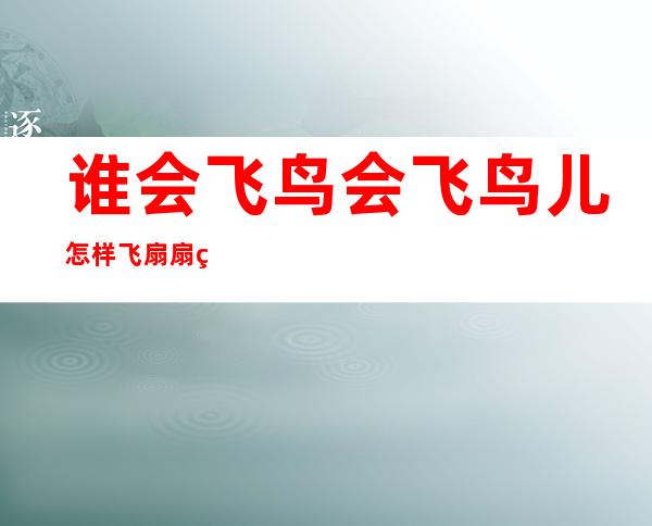 谁会飞?鸟会飞.鸟儿怎样飞?扇扇翅膀去又回.怎么分小节（谁会飞小班教案活动反思）