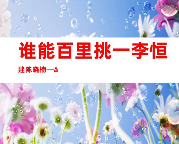 谁能百里挑一李恒建陈晓楠——李恒建陈晓楠结婚视频