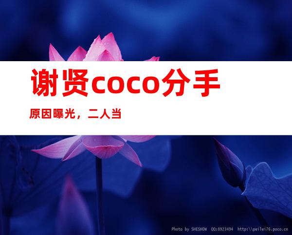 谢贤coco分手原因曝光，二人当初是如何在一起的？