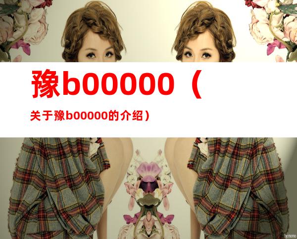 豫b00000（关于豫b00000的介绍）