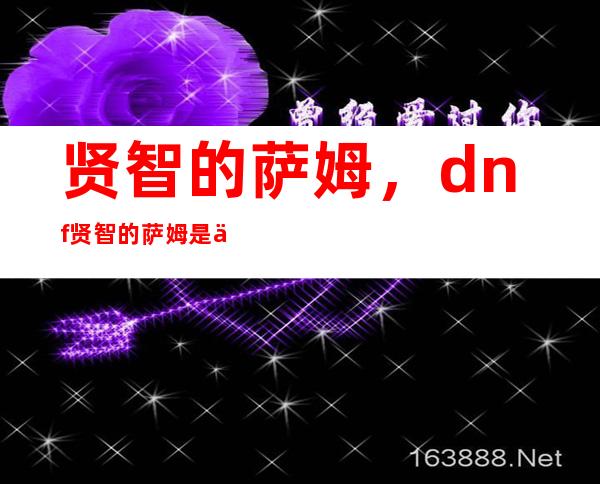 贤智的萨姆，dnf贤智的萨姆是什么职业的