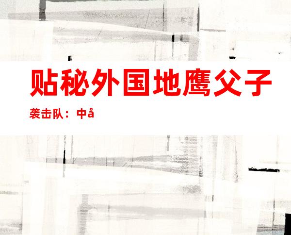 贴秘外国地鹰父子袭击队：中军特种兵起坐致敬