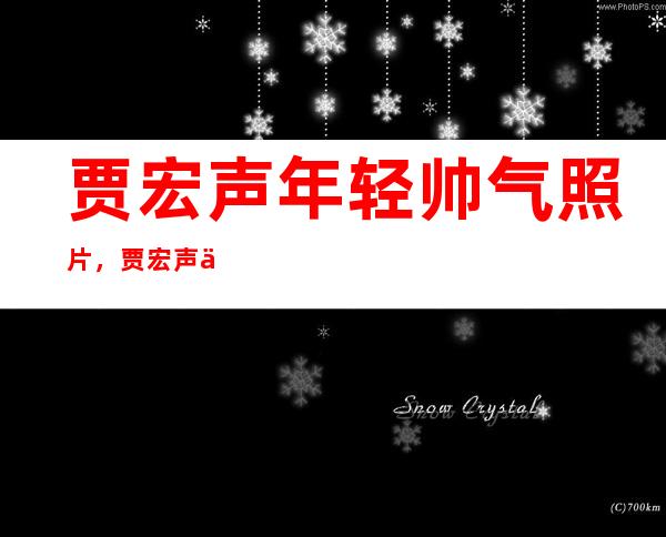 贾宏声年轻帅气照片，贾宏声为什么从14楼一跃而下