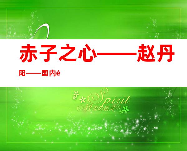 赤子之心——赵丹阳——国内首批阳光私募、私募教父的成长史