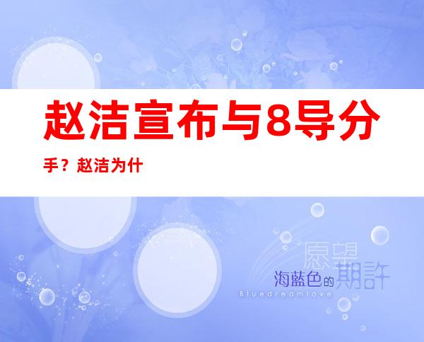 赵洁宣布与8导分手？赵洁为什么与小8分手原因揭秘