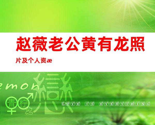 赵薇老公黄有龙照片及个人资料 黄有龙是做什么的