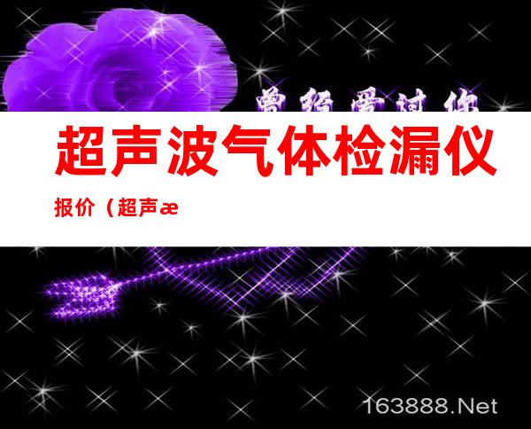 超声波气体检漏仪报价（超声波检漏仪工作原理）