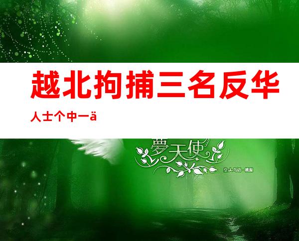 越北拘捕 三名反华人士 个中 一人确认获释