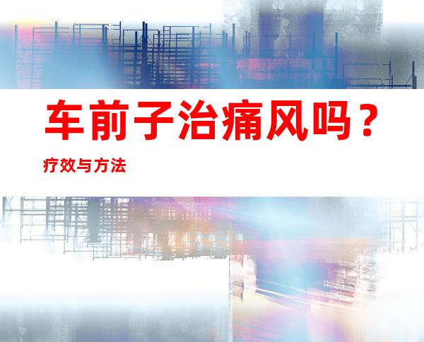 车前子治痛风吗？疗效与方法