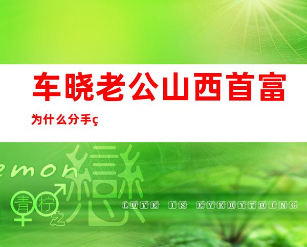 车晓老公山西首富为什么分手 离婚原因分到老公多少钱