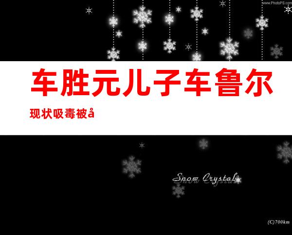 车胜元儿子车鲁尔现状 吸毒被告强奸怎么回事