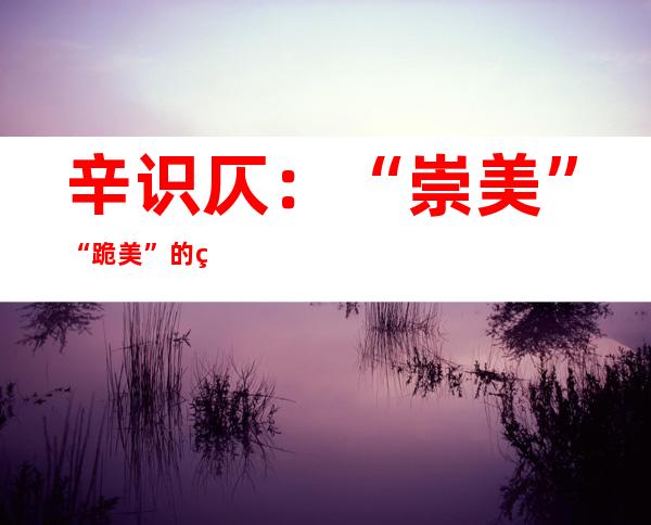 辛识仄：“崇美”“跪美”的硬骨病患上乱！