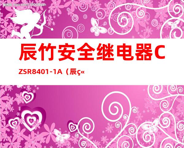 辰竹安全继电器CZSR8401-1A（辰竹仪表有限公司福利待遇）