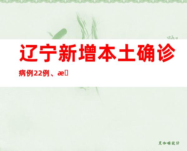 辽宁新增本土确诊病例22例、本土无症状感染者426例