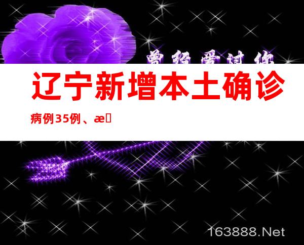 辽宁新增本土确诊病例35例、本土无症状感染者289例