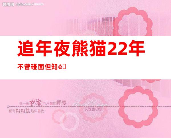 追年夜熊猫22年 不曾碰面但知道它们一切都好