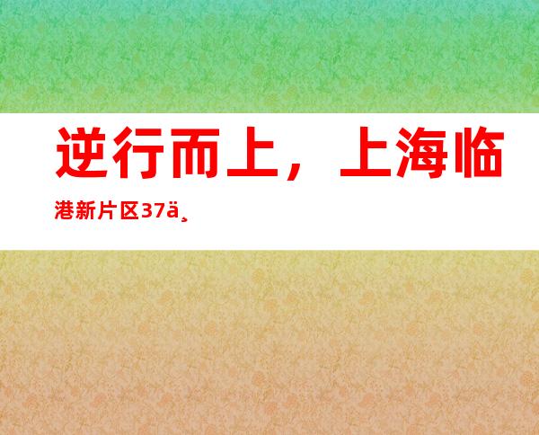 逆行而上，上海临港新片区37个项目集中签约