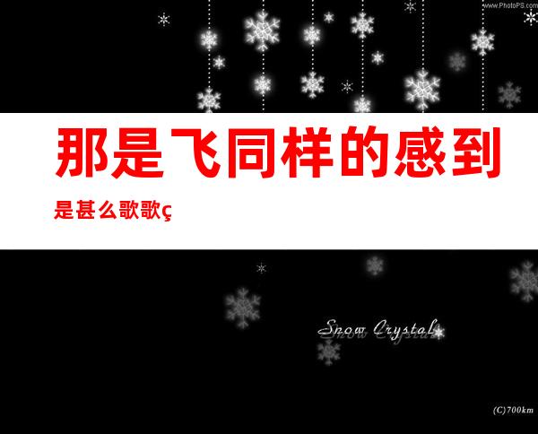 那是飞同样的感到 是甚么歌 歌直《大胆 的口》本唱及歌词先容 