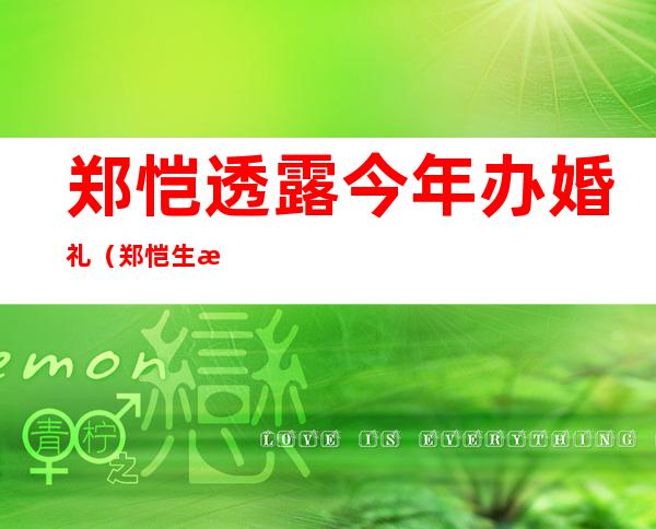 郑恺透露今年办婚礼（郑恺生日会上透露今年办婚礼，自从苗苗生女后，郑恺有哪些变化）