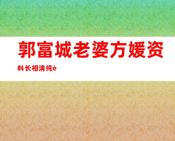 郭富城老婆方媛资料 长相清纯背景简单为郭富城生下两个千金