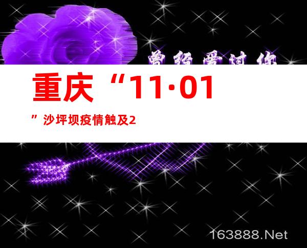 重庆“11·01”沙坪坝疫情触及29个区县 疫情处快速成长期