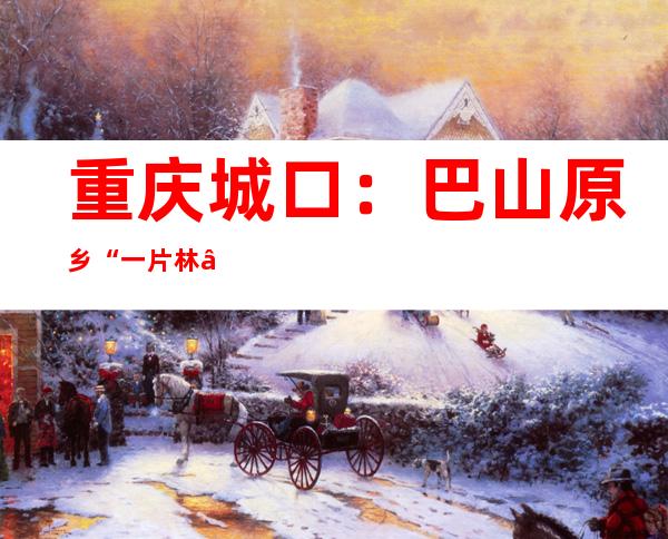 重庆城口：巴山原乡“一片林”实现多重增值