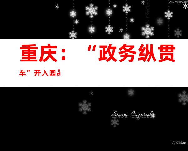 重庆：“政务纵贯车”开入园区 企业办“政事”足不出园