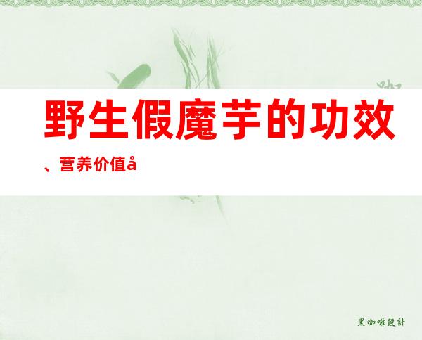 野生假魔芋的功效、营养价值及药用食疗方法