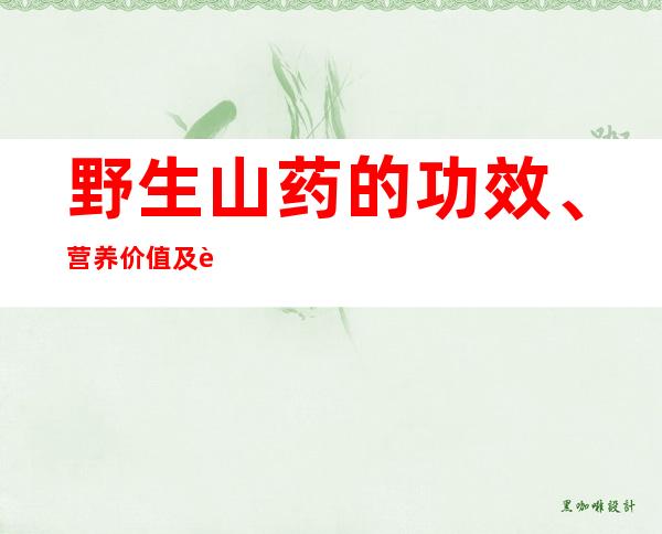 野生山药的功效、营养价值及药用食疗