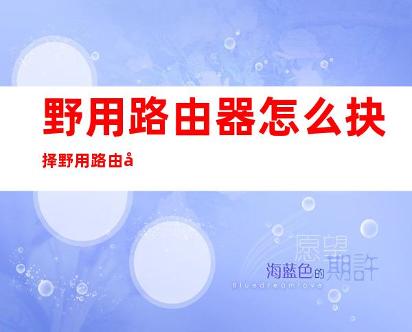 野用路由器怎么抉择 野用路由器哪一个比拟 孬